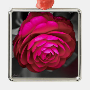 The Rosy Camellia  Metal Ornament
