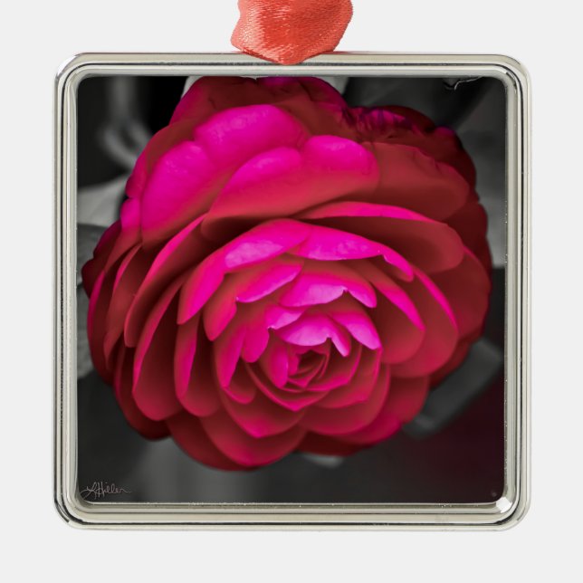 The Rosy Camellia  Metal Ornament (Front)