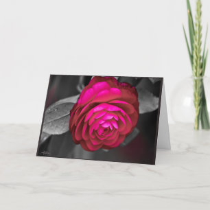 The Rosy Camellia  Thank You Card