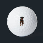 The Rottweiler Golf Balls<br><div class="desc">The nicest to rottweiler</div>