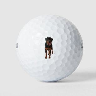 The Rottweiler Golf Balls