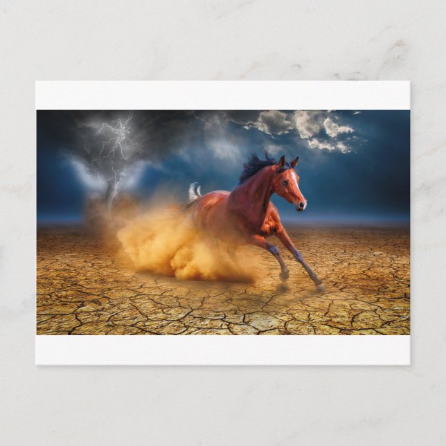The Runaway Postcard (Front)