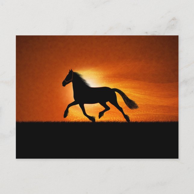 The Running Horse Postcard (Front)