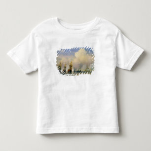 The Russo-Swedish Sea War near Kronstadt in 1790 Toddler T-Shirt