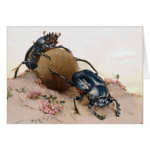 THE SACRED BEETLE 2