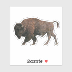 The Sacred Buffalo