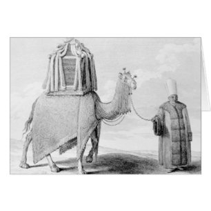 The Sacred Camel