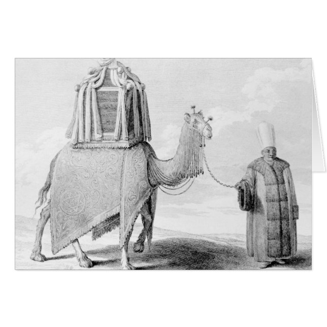 The Sacred Camel (Front Horizontal)
