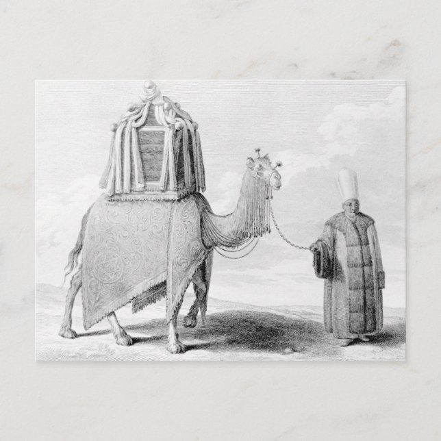 The Sacred Camel Postcard (Front)