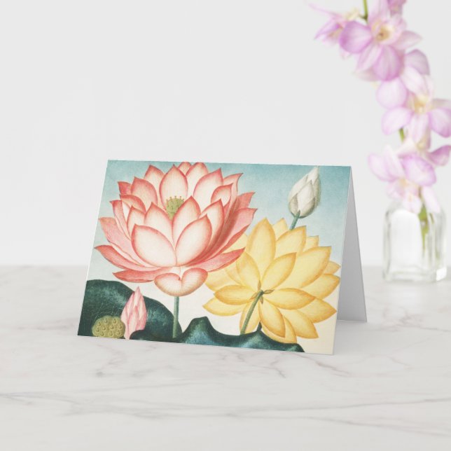 The Sacred Egyptian Bean  Card (Orchid)