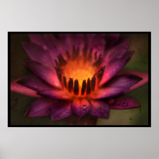 The Sacred Fire Dance of a Lotus Poster