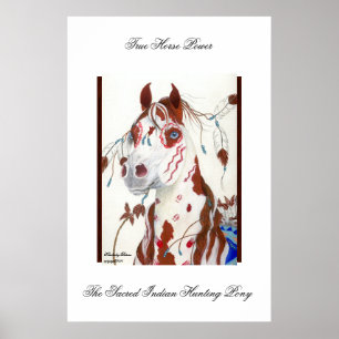 The Sacred Indian Hunting Pony Poster