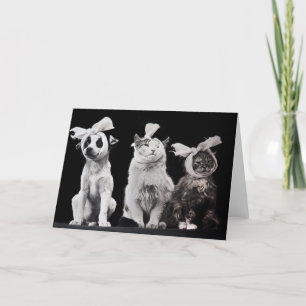 The Sad Trio, Blank Inside Card