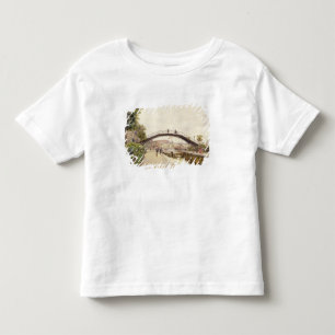 The Saint-Martin Canal Toddler T-Shirt