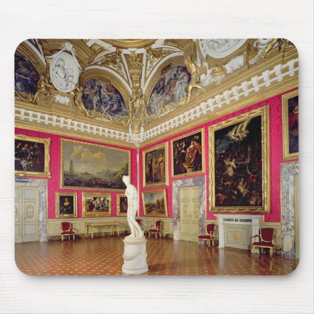 The 'Sala di Venere' (Hall of Venus) containing th Mouse Pad (Front)