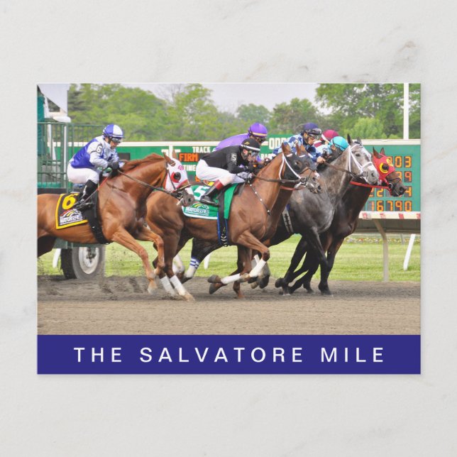 The Salvatore Mile Postcard (Front)