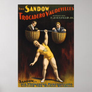 The Sandow Weightlifter bodybuilding, Human Weight Poster
