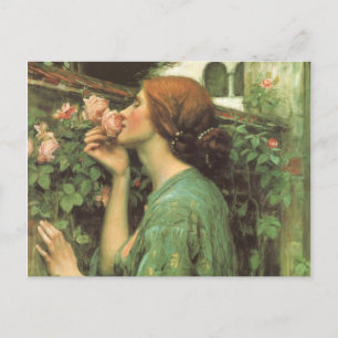 The Scent of Roses Postcard