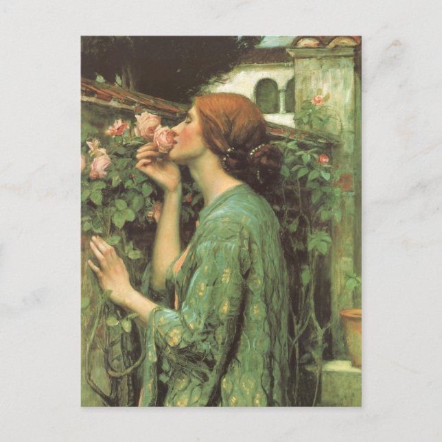 The Scent of Roses Postcard (Front)