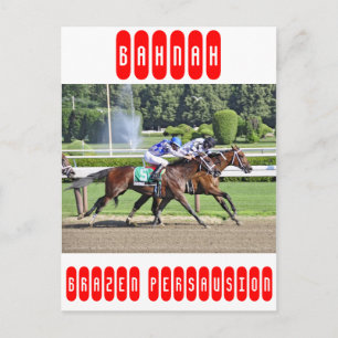 The Schuylerville Stakes Postcard