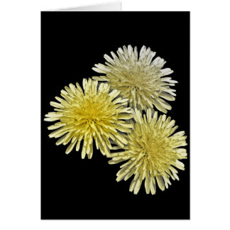 The Scourge of the Neighbourhood