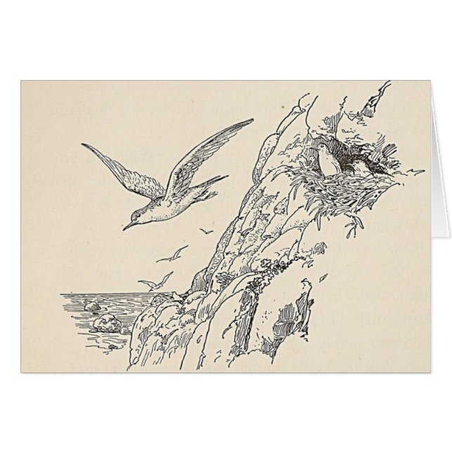 The Sea Gulls (Front Horizontal)