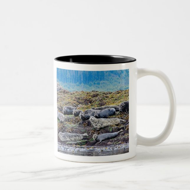 The Sea Lion Family Two-Tone Coffee Mug (Right)