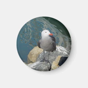 The Seagull Larry Day Ken Gauge Bird Photography Magnet