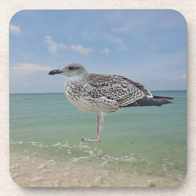 The seagulls coaster (Front)
