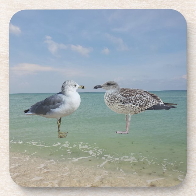 The seagulls coaster (Front)