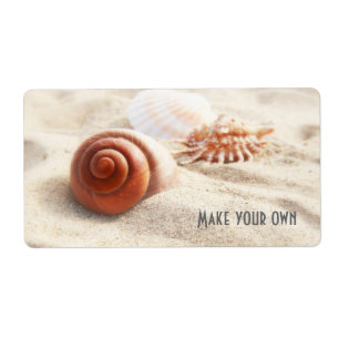 The seashells on the sand close up