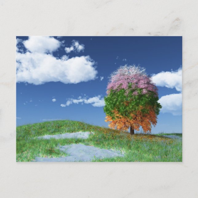 The Season Tree Postcard (Front)