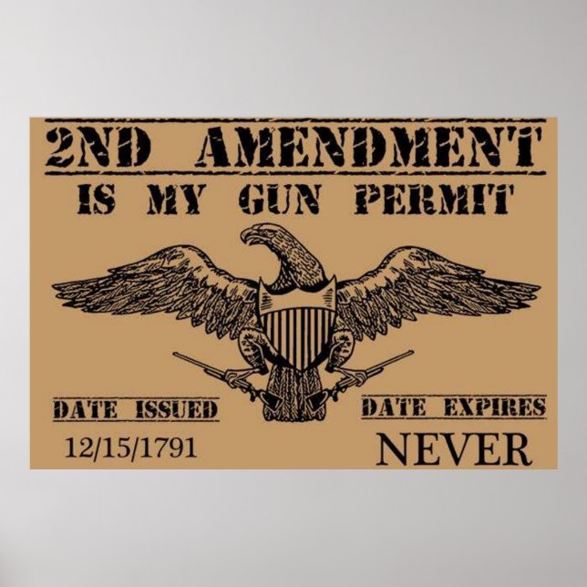 The Second Amendment Door Mat Poster (Front)