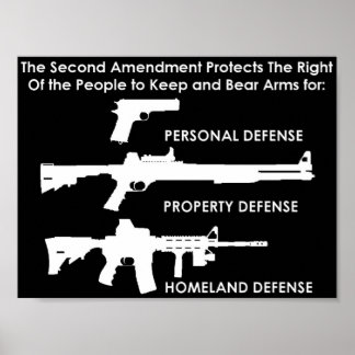 The Second Amendment Protects Poster