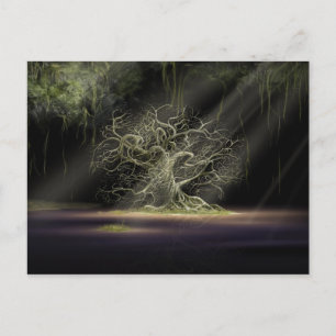 The Secret 1 Postcard