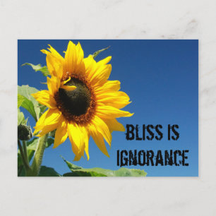 The secret to happiness is complete ignorance postcard