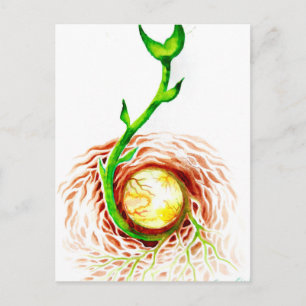 The seed of life poster canvas print postcard