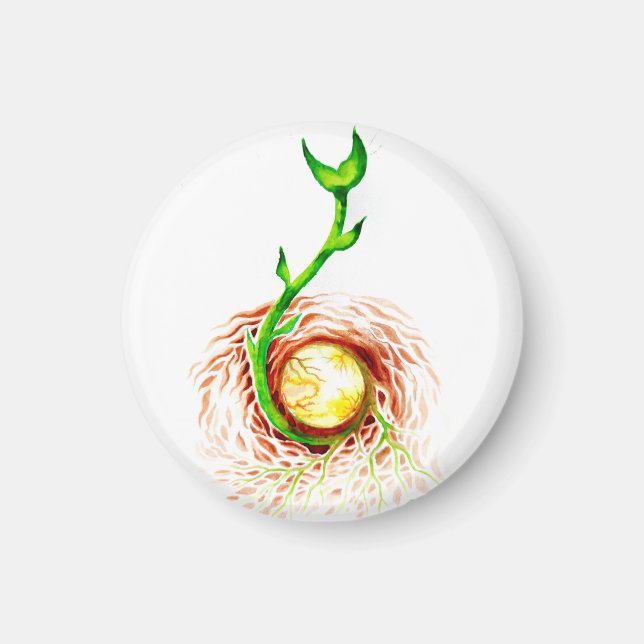 The seed of life poster canvas print postcard magn magnet (Front)