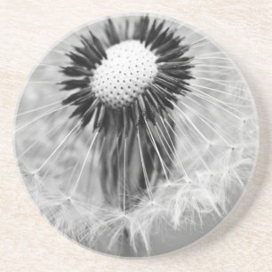 The Seeds of Tomorrow Coaster