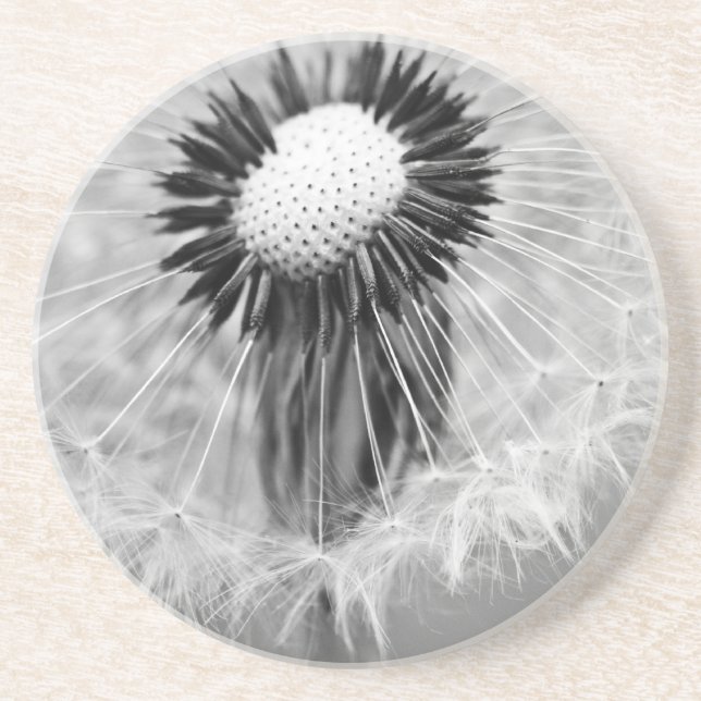 The Seeds of Tomorrow Coaster (Front)