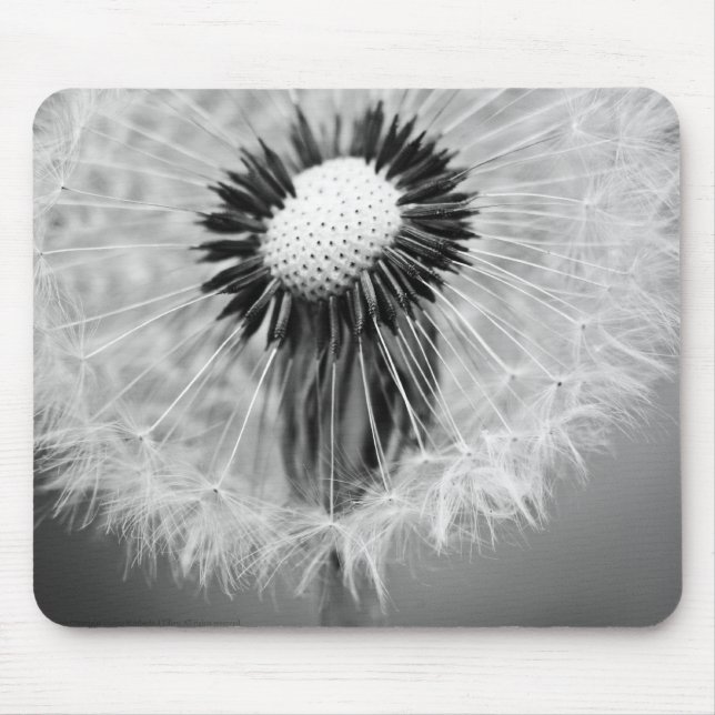 The Seeds of Tomorrow Mouse Pad (Front)