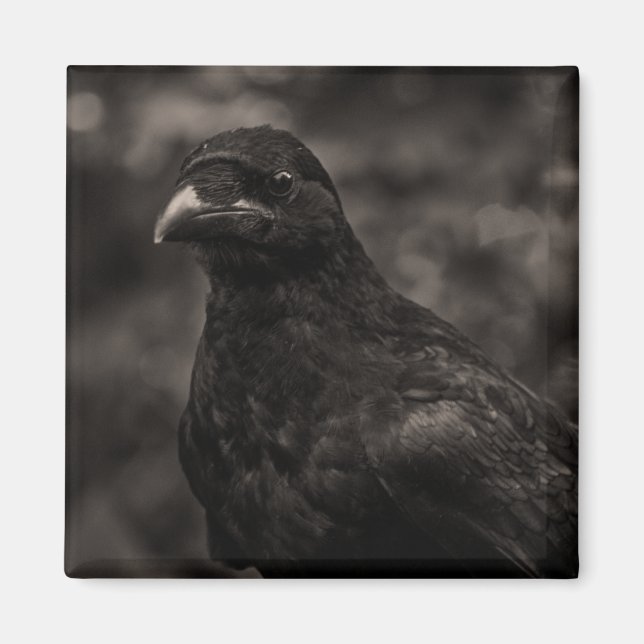 The Seeker Magnet (Front)