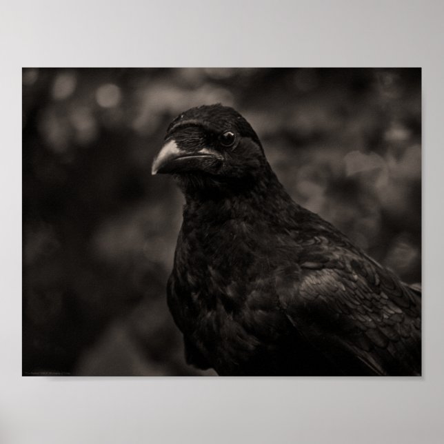 The Seeker Poster (Front)