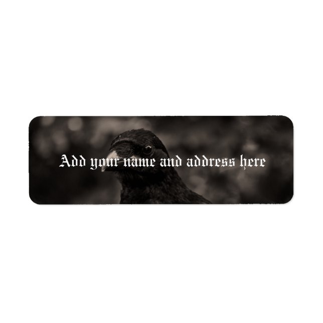 The Seeker Return Address Label (Front)