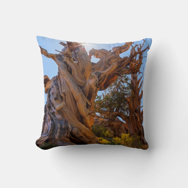 The Sentinel Tree Cushion (Front)