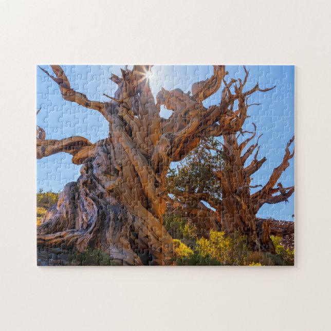 The Sentinel Tree Jigsaw Puzzle (Horizontal)