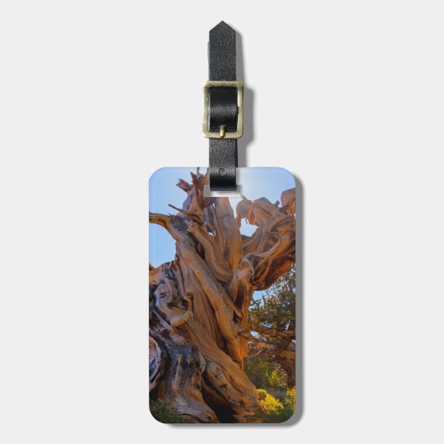 The Sentinel Tree Luggage Tag (Front Vertical)