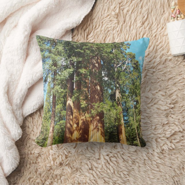 The Sequoia and Kings Canyon National Parks Cushion (Blanket)