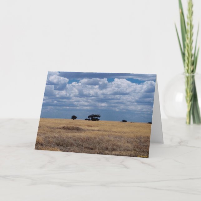The Serengeti Plain Card (Front)