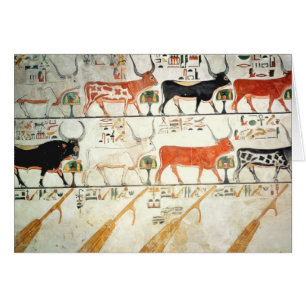 The seven celestial cows and the sacred bull